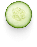 Cucumber